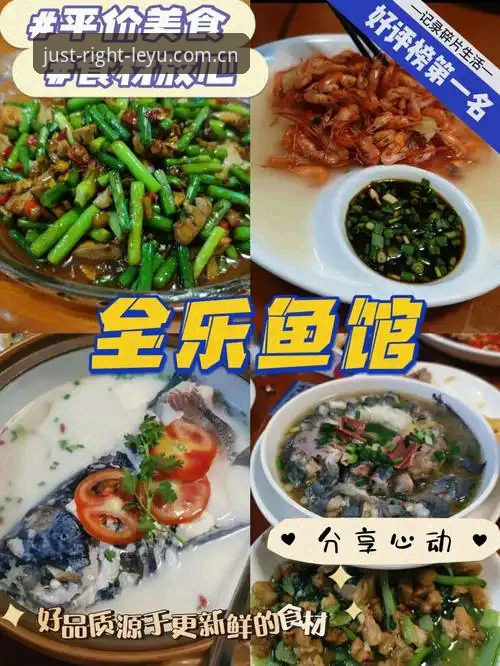 揭秘乐鱼官方体验刚刚好注册2026背后的产品逻辑：为什么多数人把「下载」和「适配」搞反了